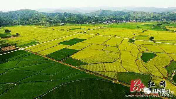 新型精准扶贫农业发展模式,农业扶贫致富新模式