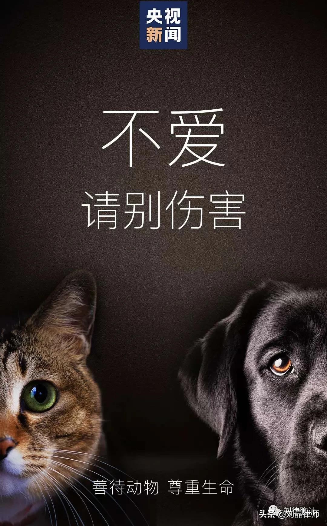 为什么虐待动物不犯法,虐待动物犯法杀动物犯法吗