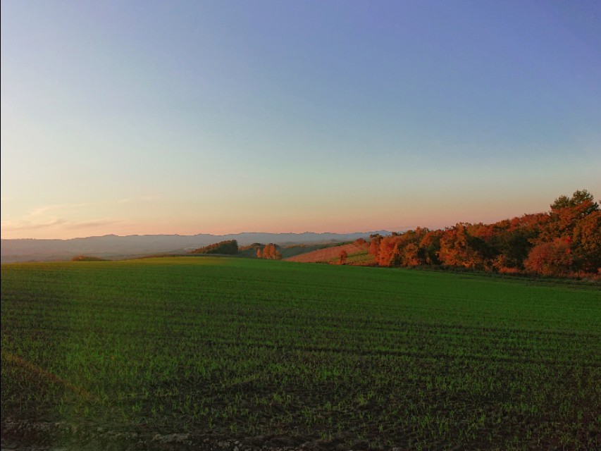 北海道登别到美瑛町需多久,日本北海道美瑛川的雪景