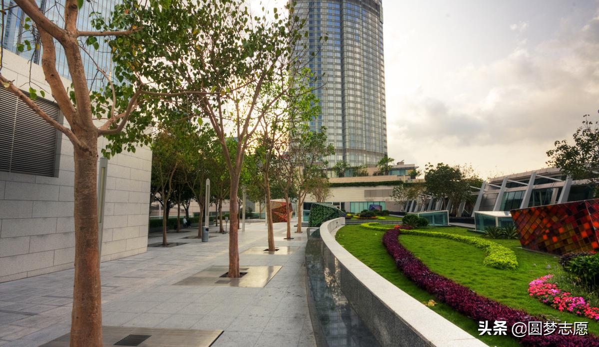 最值得收藏的8所学院,10所顶级211