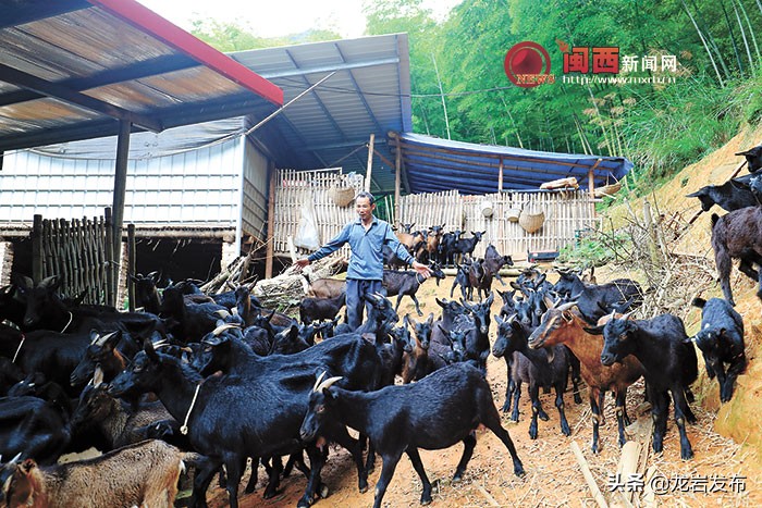 携手脱贫路共圆小康梦