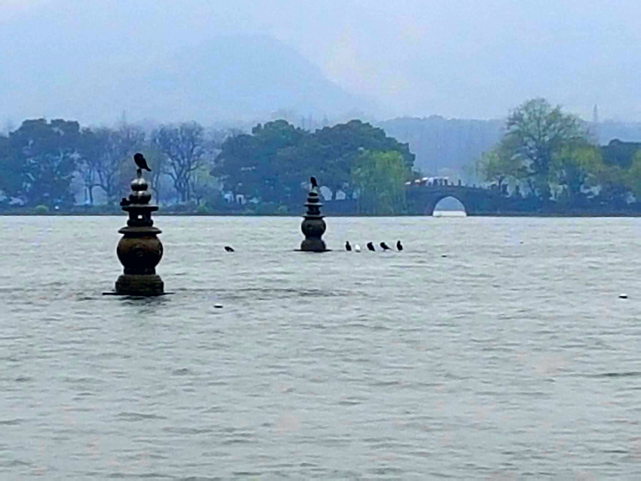 山东省滨州渤海科技大学,渤海科技大学未来规划