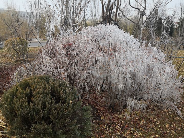 黑龙江东方学院院系,黑龙江省内大学本科