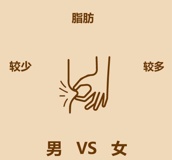 男女区别原版,男女区别视频讲解