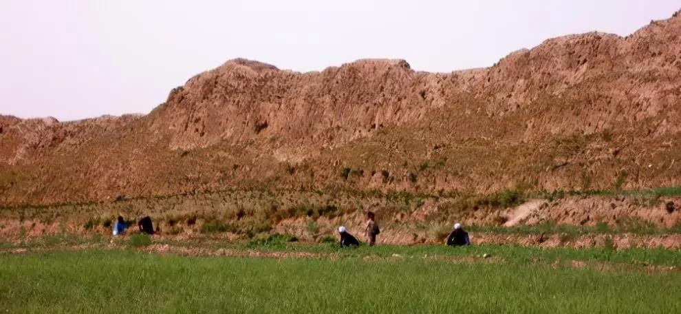 藏品到底该如何出手,藏品怎么展示