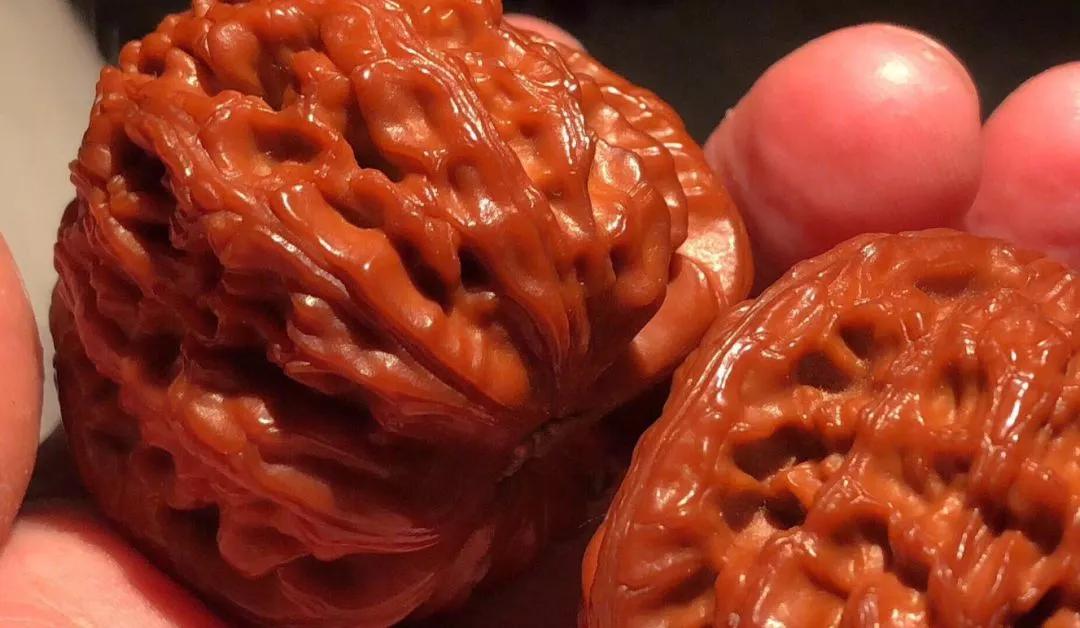 核桃怎么玩步骤,核桃该怎么玩