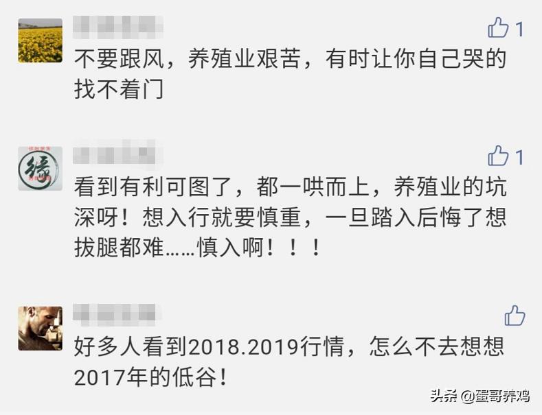 养10000只下蛋鸡一年收入,养1万只蛋鸡的利润