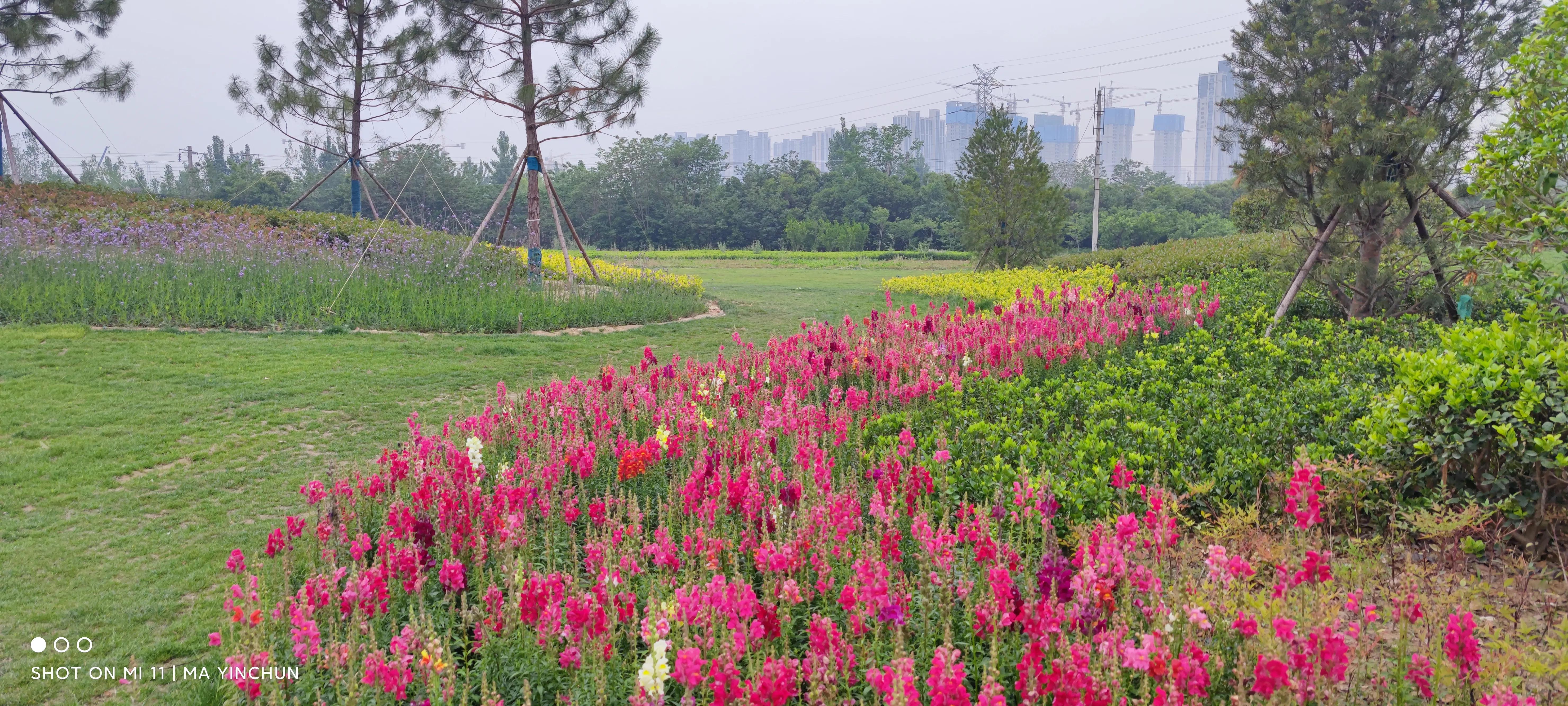 缁欏瀛愮幆淇濈邯蹇靛搧绀肩墿,缁欏皬鏈嬪弸鐨勪綋鑲插皬绀肩墿