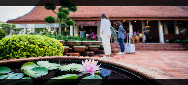 深度玩转泰国攻略,泰国游国际漫游