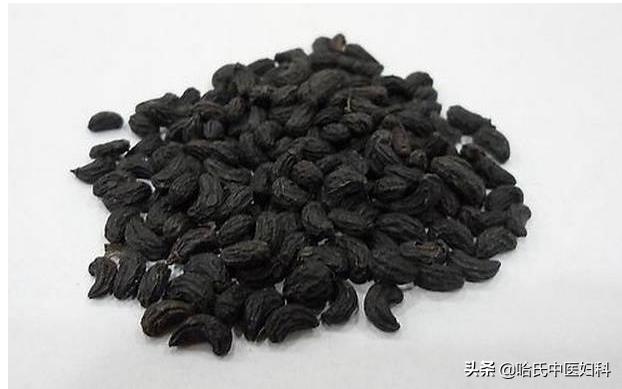 多囊卵巢综合症引起闭经怎么治疗,多囊卵巢综合症闭经了怎么办