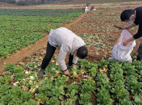 勤跑腿，构筑一条稳定物资补给线--记舒安街物资保供小分队韩海