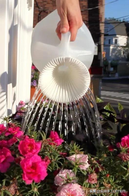 旧物利用改造技巧塑料瓶,简单的旧物改造塑料瓶高清图片