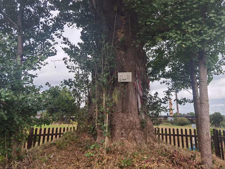贵州蓬莱仙界旅游攻略,白云区蓬莱仙界景点介绍