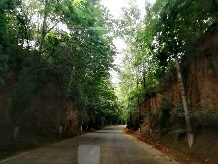 国家级传统村落千年古村,洛阳土古洞村落