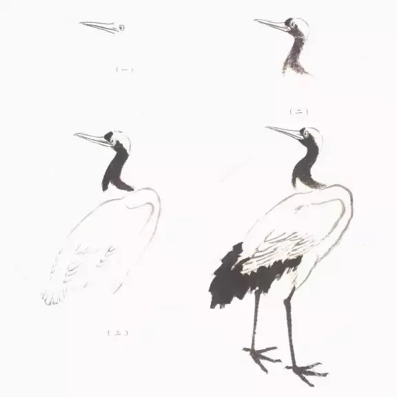 100种国画禽鸟画法,简单易学的禽鸟脚掌画法