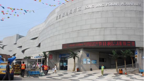 海洋馆的美丽与震撼,亚洲最大室内单体海洋馆