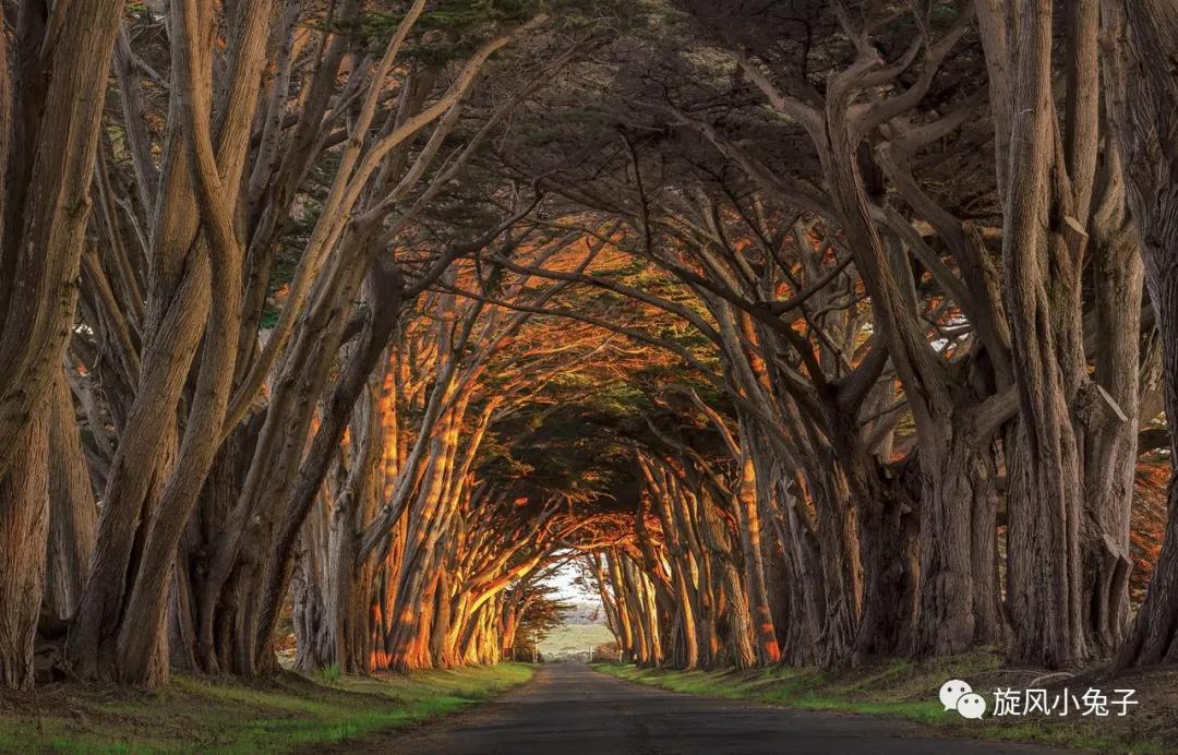 加州沿海1号公路,加州沿海一号公路一日游推荐