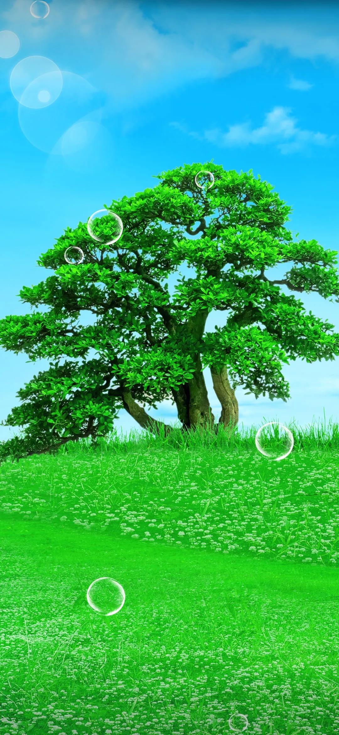 精美手机壁纸真是太美了,清晰到极致的手机壁纸图