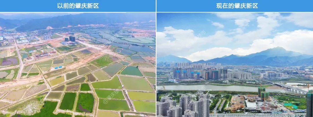 我为何看好万科,广东肇庆新区最新视频