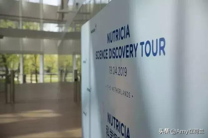 荷兰牛栏白金版分段,荷兰牛栏和荷兰牛栏白金版的区别