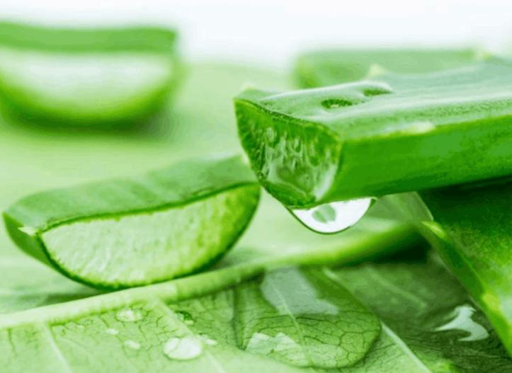 泰国物美价廉的好物来了,泰国好物推荐20元