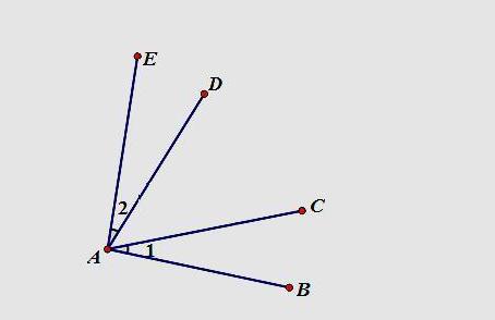 初中数学图形与几何公式大全,初中数学几何图形的翻转解题技巧