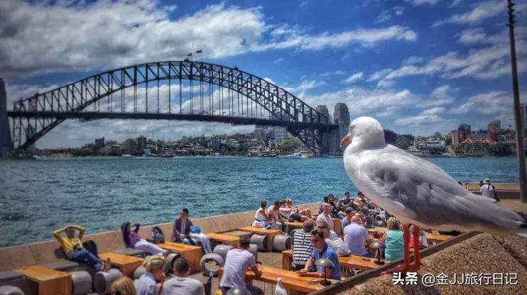 去中国旅游进海关最少带多少钱,沈阳出境旅游注意事项
