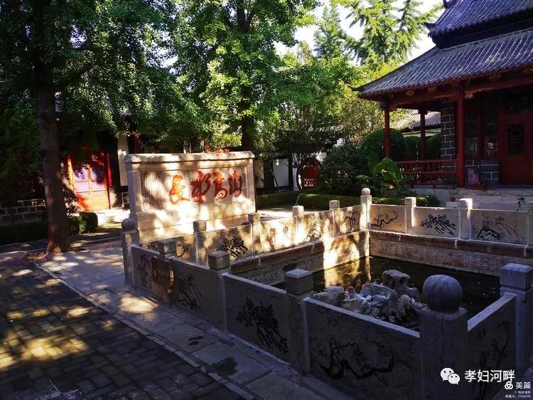 博山初夏风景图片,在博山公园藏着独特的宁静