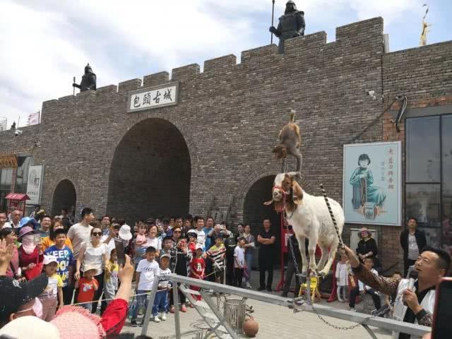内蒙好看的景点,内蒙旅游景点推荐网红一日游