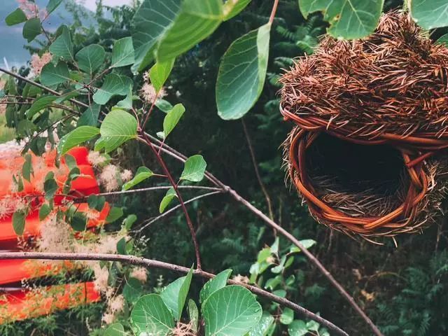 鍖椾含閲戞捣婀栧厤璐归湶钀ョ殑鍦版柟,閲戞捣婀朼kid姘翠笂杩愬姩