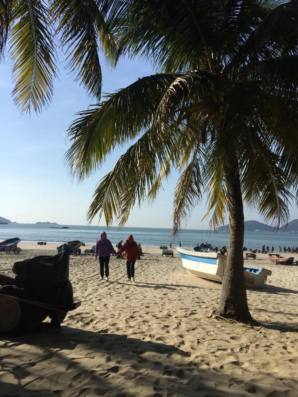 台山下川岛未来15天天气预报,台山下川岛