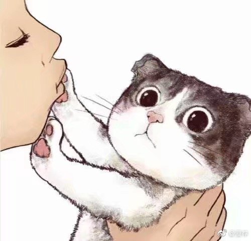 喵星人漫画推荐,绘画漫画喵星人