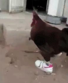 有一种快乐叫随心所欲,随心所欲的快乐你懂吗