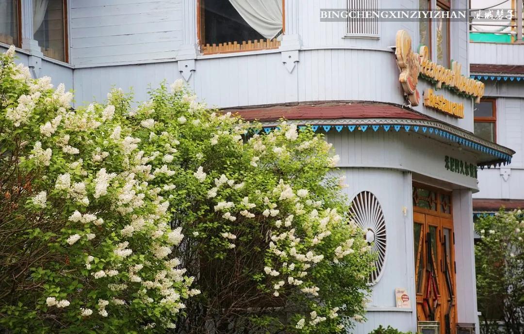 伏尔加庄园最好的地方,伏尔加庄园有什么特色