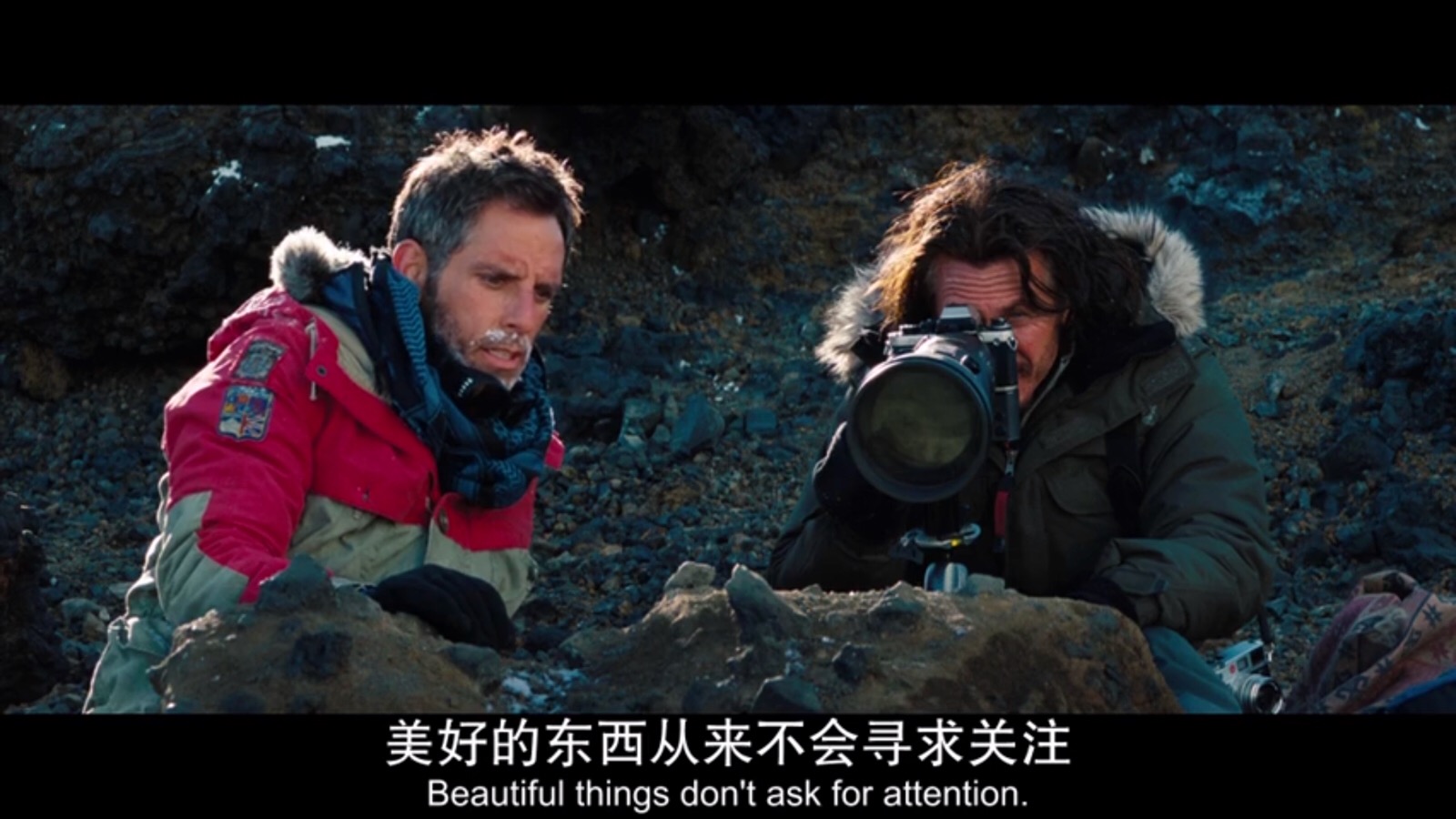 《hello!树先生》最强解析,也许树先生并不是印象中的可怜人