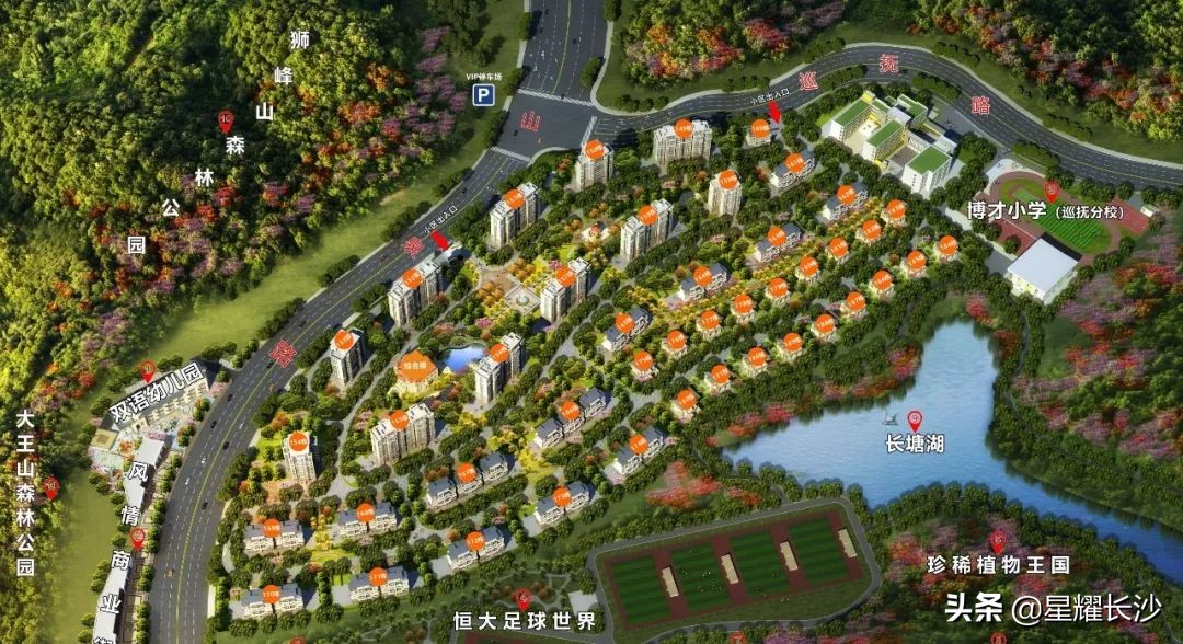 爆品来了完整版,博才学校8字头房价