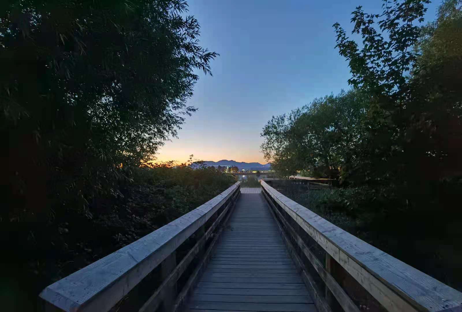 清华大学毕业失业,清华毕业的我一事无成