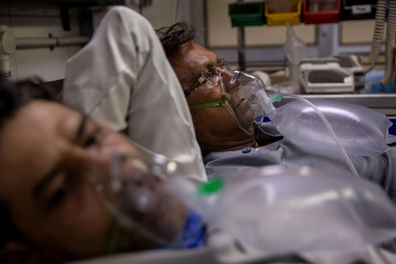 人不如牛？毁灭性疫情下，印度“重灾区”一邦仍积极扩建奶牛收容所