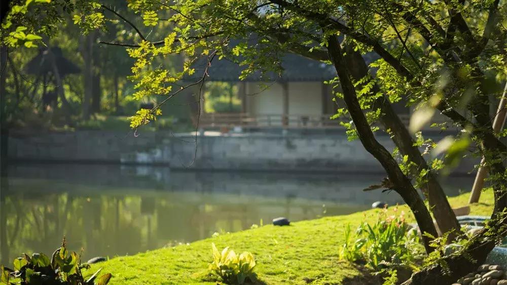 中国最美湿地公园，坐着船入住，皇帝都没机会住的地方你可以！