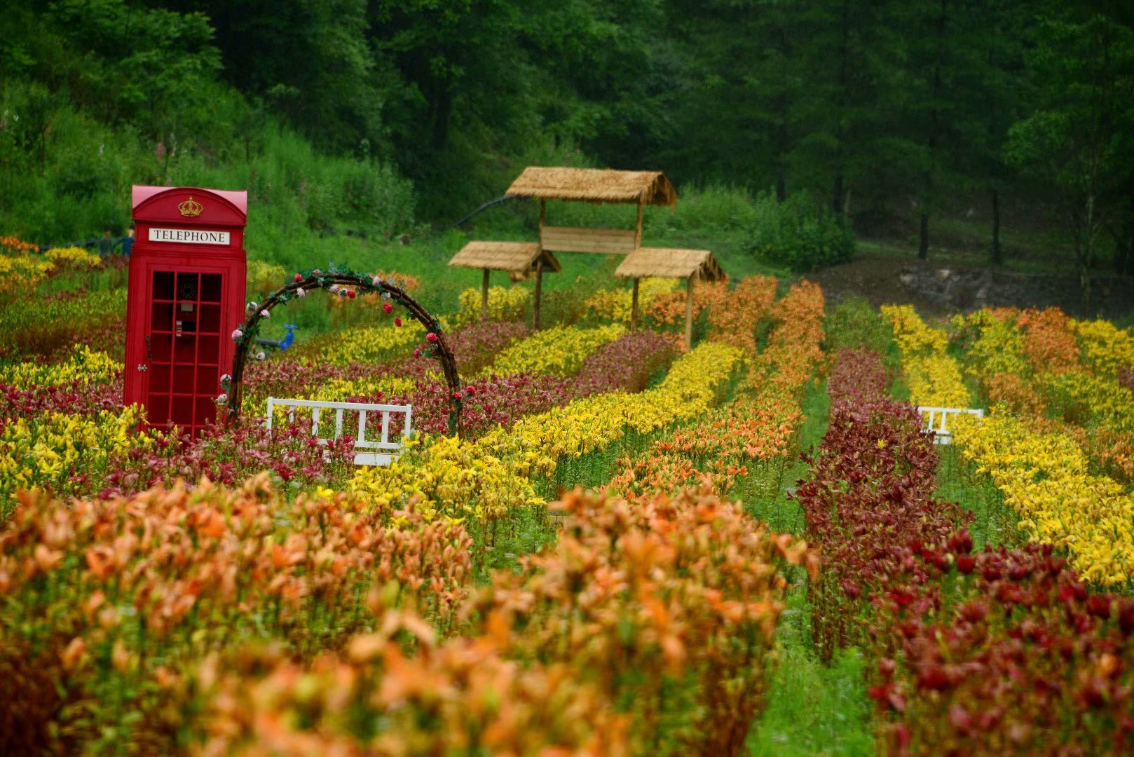 六月回忆童年,六月回忆母校