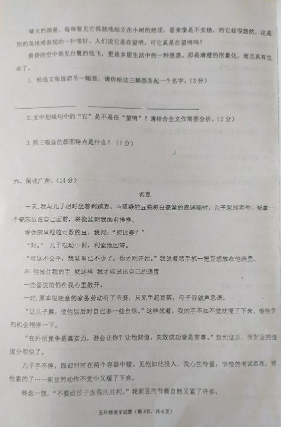 五年级片区联考要注意的事项,五年级统考怎么才能考高分