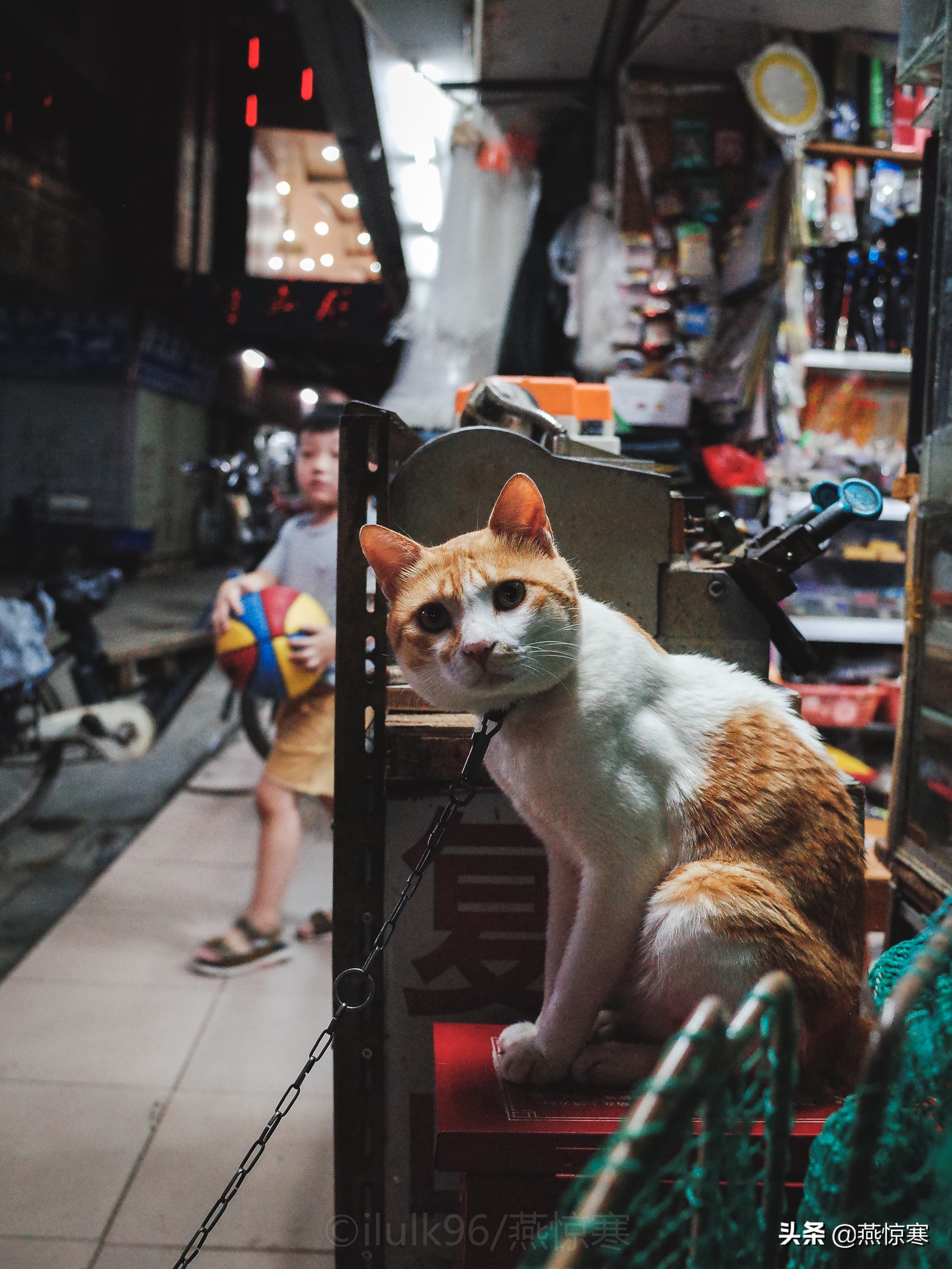 理光镜头和宾得通用吗,宾得理光图片大全