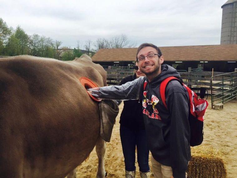 给牛身体上挖个洞是干啥用的,牛身上为什么要掏个洞
