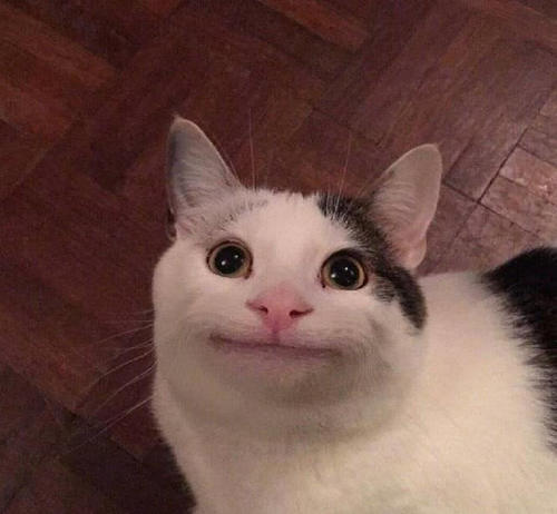 一个尴尬而不失礼貌的微笑,howtokeepsmile