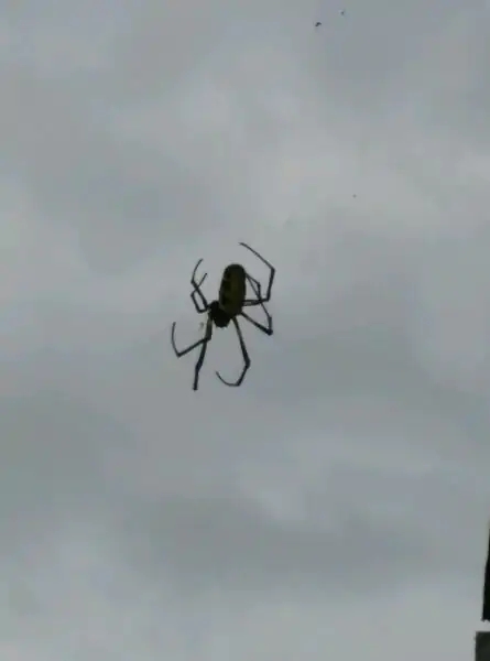 带你去赤道看海,赤道几内亚国家地图