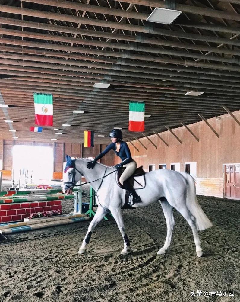 超模贝拉哈迪德简历,贝拉哈迪德马术