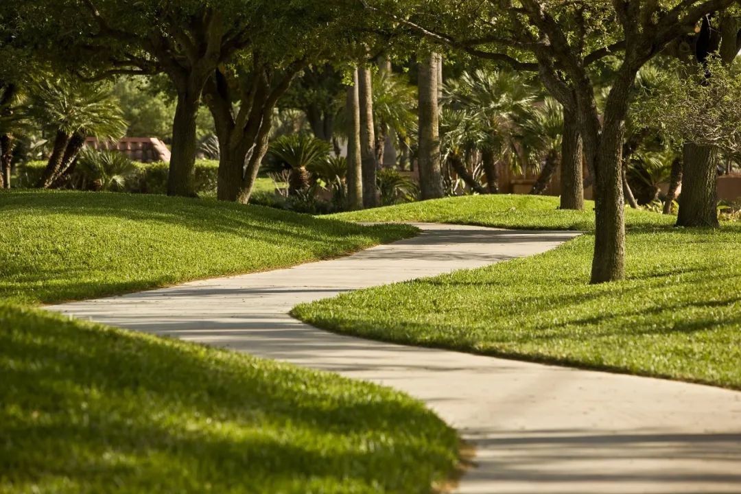 东莞周屋稻田网红打卡地,东莞室内网红打卡地儿童
