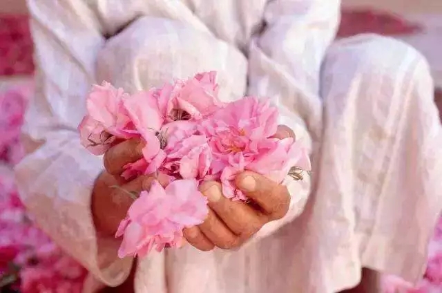 出国旅游担心语言问题,出国旅游预订机票口语