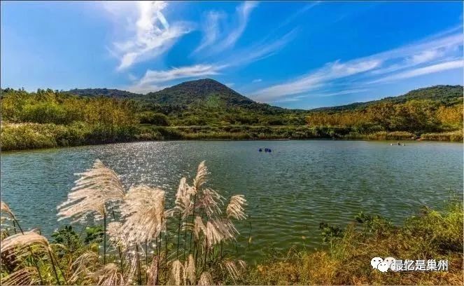 魅力巢湖:洪家疃之名到底始于何时