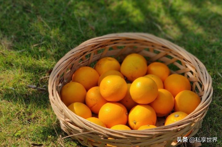 现在哪里的橙子最好吃,全国哪些地方的橙子好吃水分多